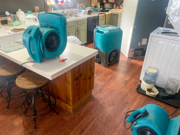 Best Flood damage cleanup  in Skippers Corner, NC