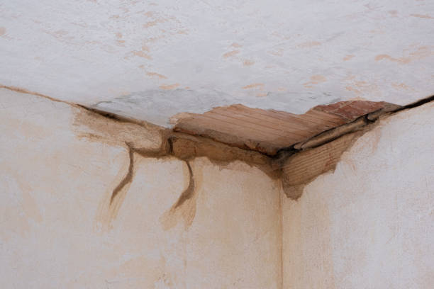  Skippers Corner, NC Water damage restoration Pros