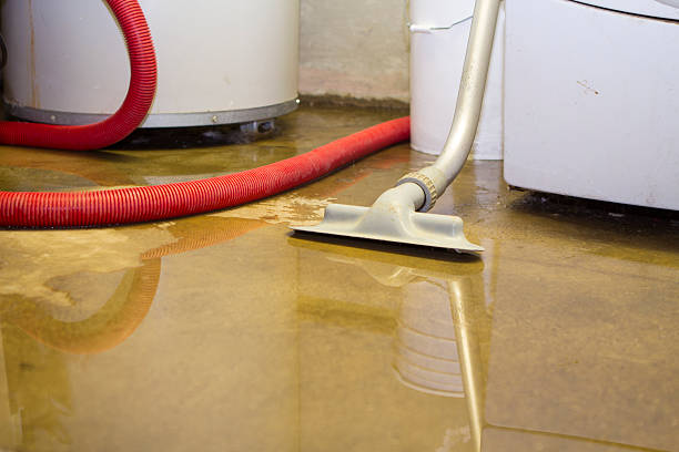 Best Water damage restoration near me  in Skippers Corner, NC