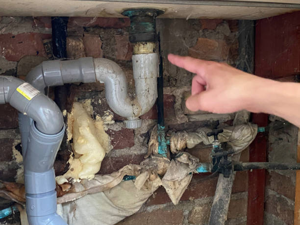 Best Carpet water damage restoration  in Skippers Corner, NC