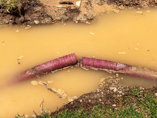 Best Water damage restoration near me  in Skippers Corner, NC