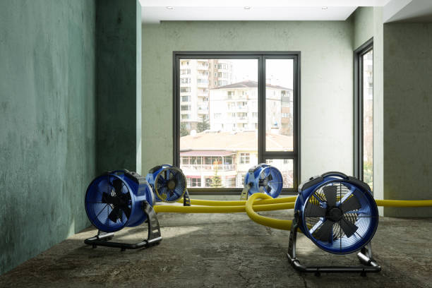 Best Emergency water damage restoration  in Skippers Corner, NC